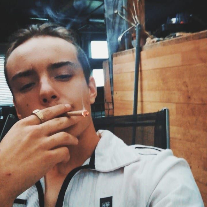 Profil de Shahin