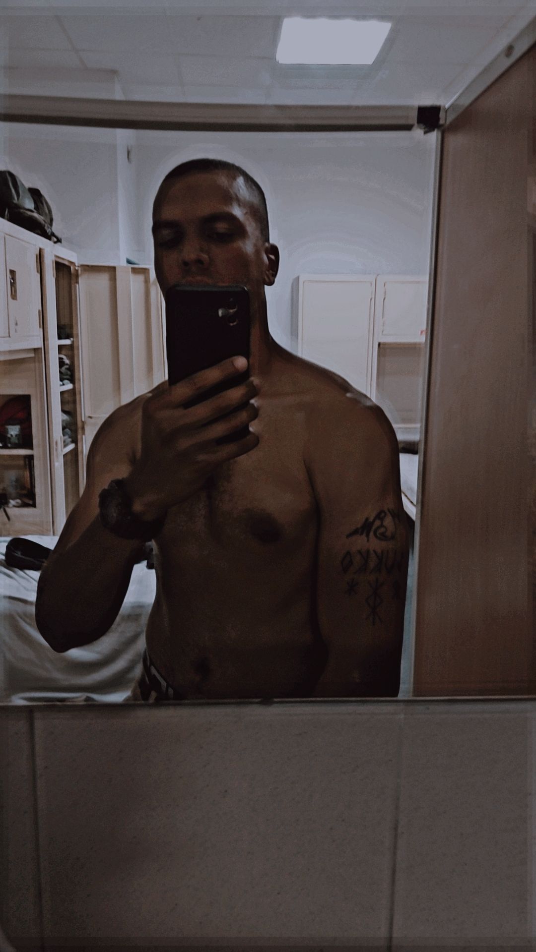 Profil de Rex